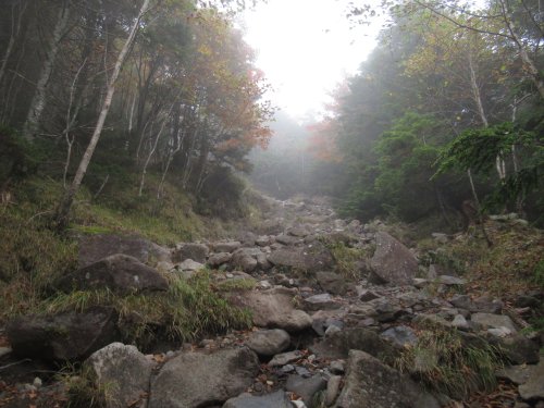 登山道 